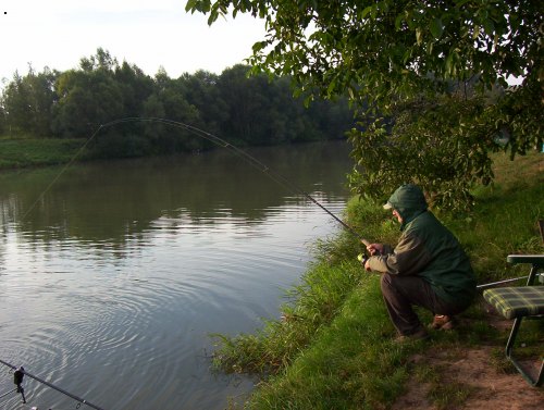Slovensk� kolega zdol�v� 85ku kapra