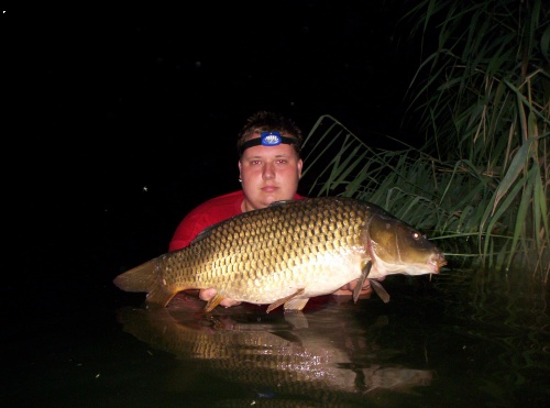 81, 11,5 kg