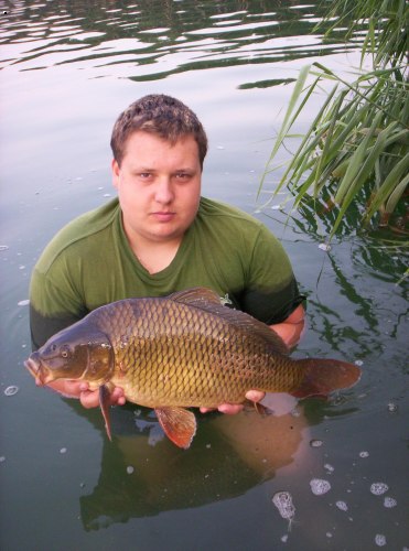 60, 4 kg