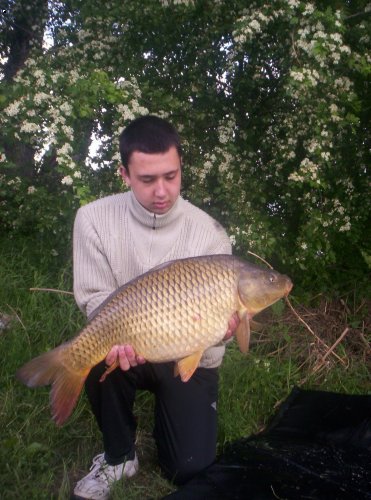 75 cm 8 kg