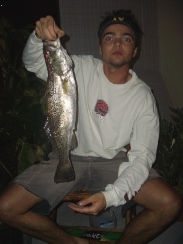 spotted sea trout