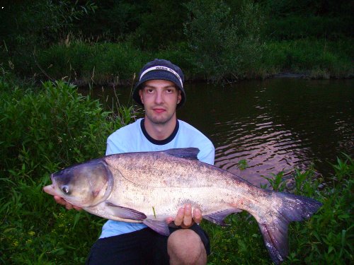 Tolst�k 75cm (2005)