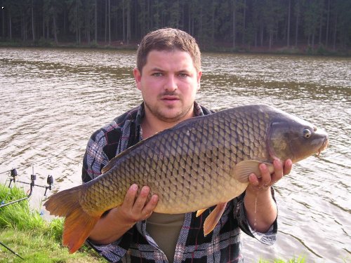 74cm,8,5kg