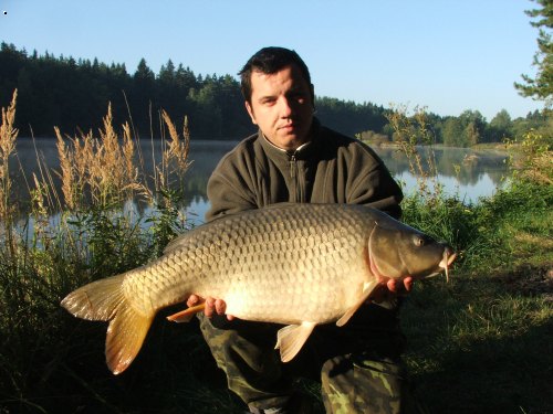Kapr 86cm
