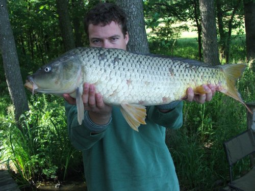 Vrchotick� 2006