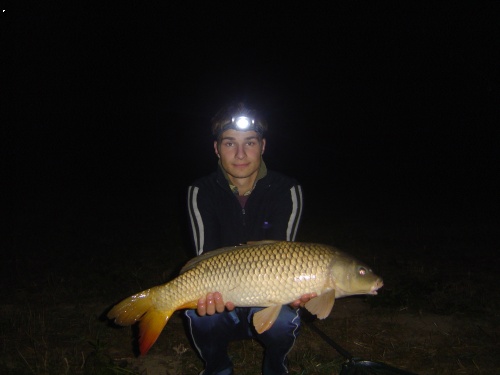 Podve�ern� krasavec