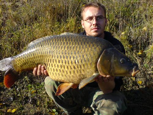 Labe Kapr 76 cm 9 kg