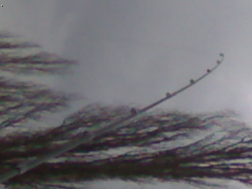 feedr
