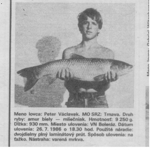 po rokoch