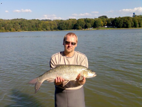 79 cm
