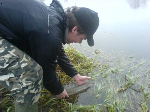 �ups zp�tky a p���t� rok si pro Tebe p�ijdeme