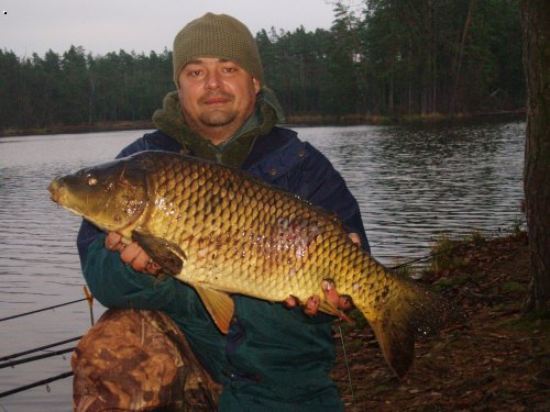 kapr 78cm  7,5kg