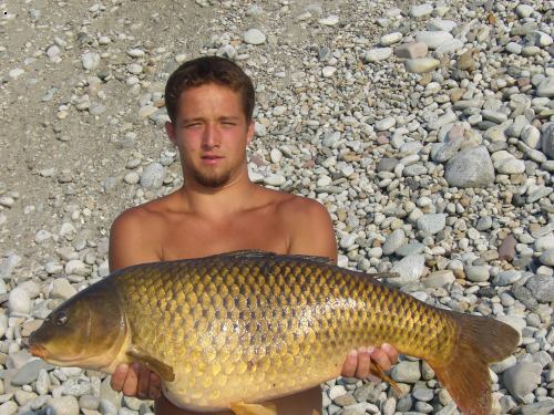 Kapor 12kg