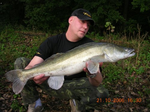 Cand�t z Labe 74cm,6kg
