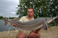 Jeseter 12,5 kg
