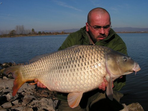 Marcel :Adacs 11/2006