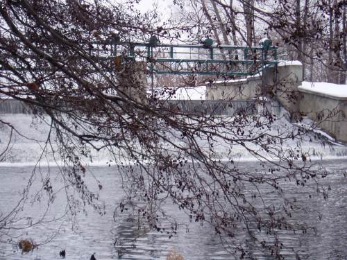 Silvestr 2005