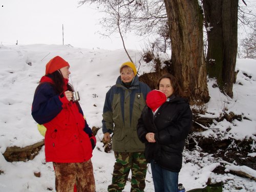 Silvestr 2005