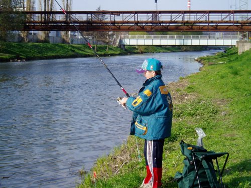 2004