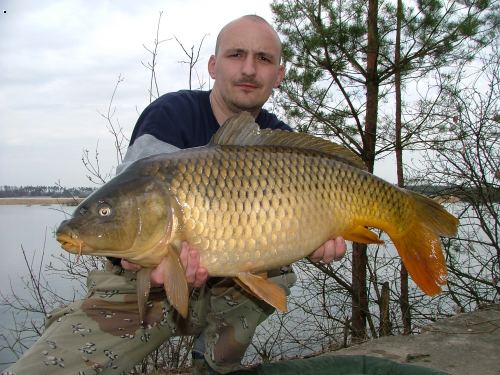 �t�t 2005