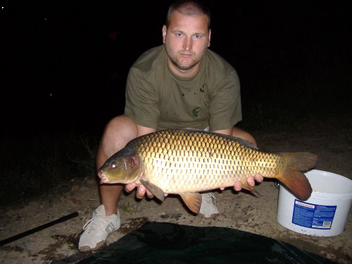 r.2006 - Labe11 
