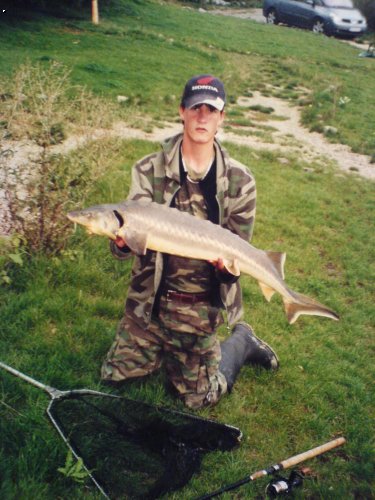 Jeseter  110cm