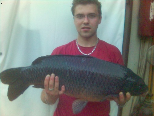 Kapor 81cm 9KG