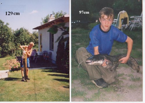 rok 2001