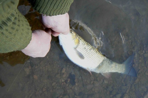 tlou�t�k