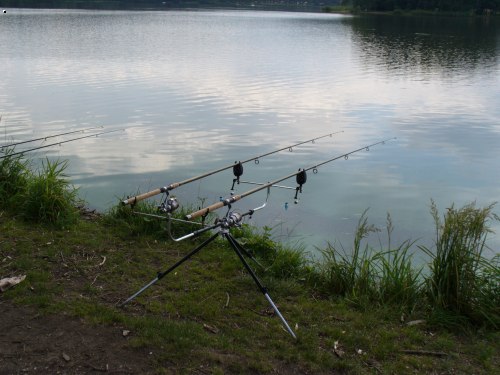 moje pruty