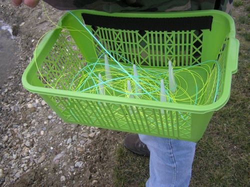 Ko��k funguje ...
