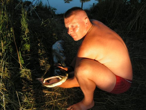 Labe 2006