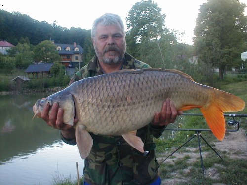 Kapr 90 cm (cca12,5 kg)