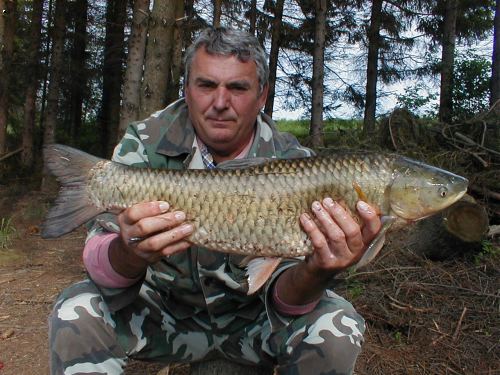 Franta Nesrsta-AMUR 69 cm(5,95 kg)