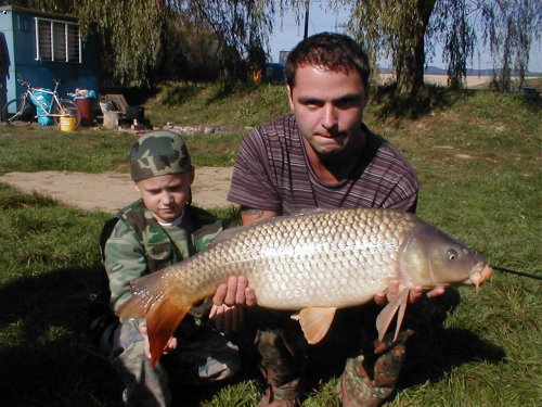 Milda&Milda s kaprem 72 cm