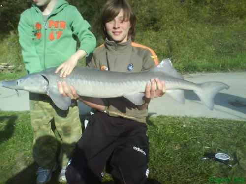 Ondra jest. 123 a 10 kg