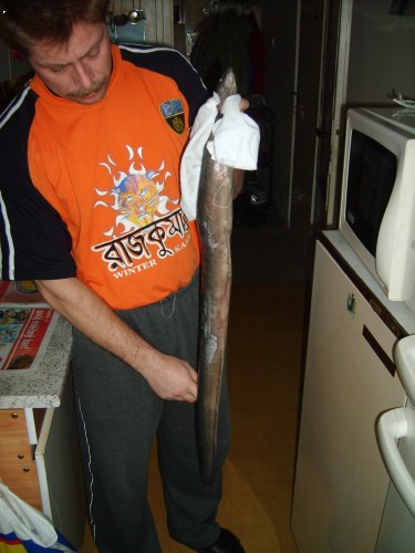 Letos prvn� �ho� 88cm
