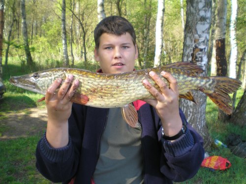 �ti�ka 72cm