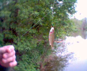 v�kon na 2cm nafoukl� rohl�k
