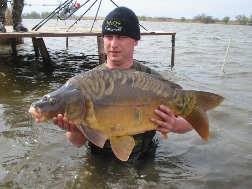 Kapr 88cm 16kg