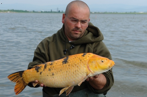 Marcel :Adacs 05/2007