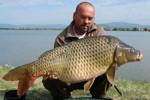 Marcel :Adacs 05/2007