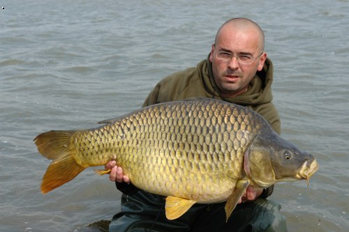 Marcel :Adacs 05/2007