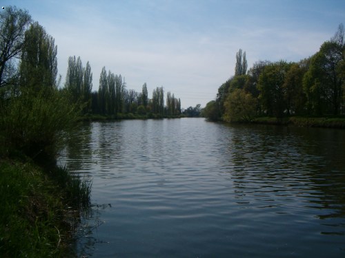Labe