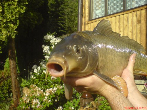 OH�E 2007