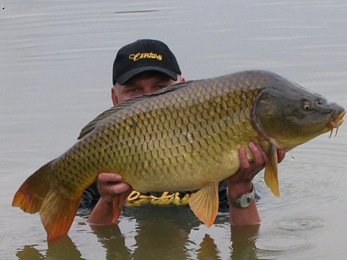 Rabakov