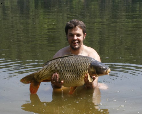 Kapr 80 cm -12 kg
