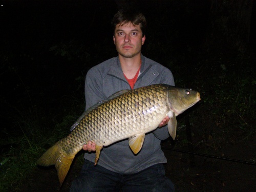 81cm 8,5kg