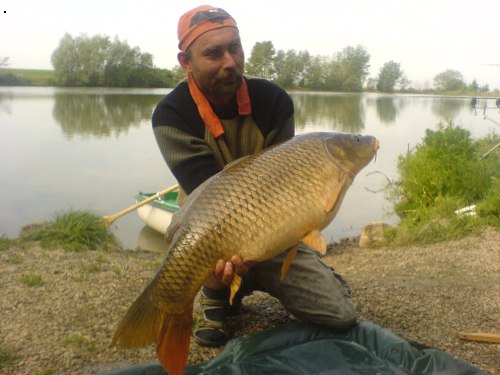 Milan a 16ka 96cm