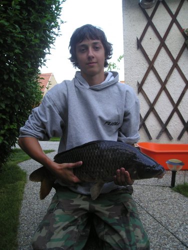 kapr 70cm